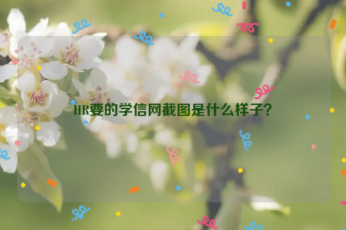 HR要的学信网截图是什么样子？