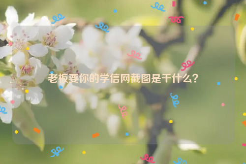 老板要你的学信网截图是干什么？