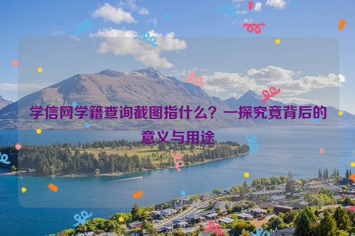 学信网学籍查询截图指什么？一探究竟背后的意义与用途