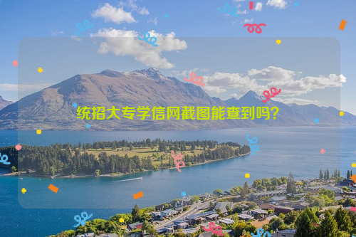 统招大专学信网截图能查到吗？