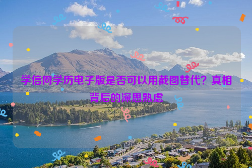 学信网学历电子版是否可以用截图替代？真相背后的深思熟虑