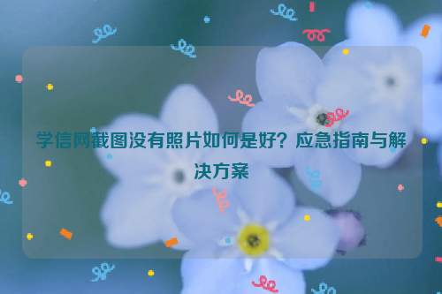 学信网截图没有照片如何是好？应急指南与解决方案