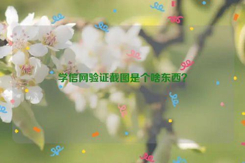 学信网验证截图是个啥东西？