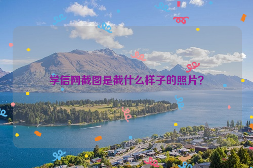 学信网截图是截什么样子的照片？