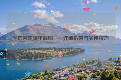 学信网在哪里截图——详细指南与实用技巧