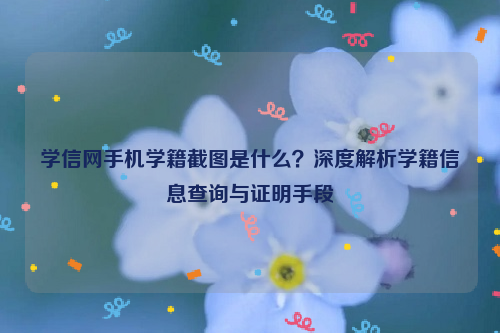 学信网手机学籍截图是什么？深度解析学籍信息查询与证明手段