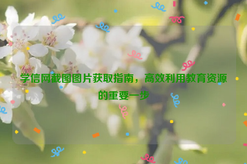 学信网截图图片获取指南，高效利用教育资源的重要一步