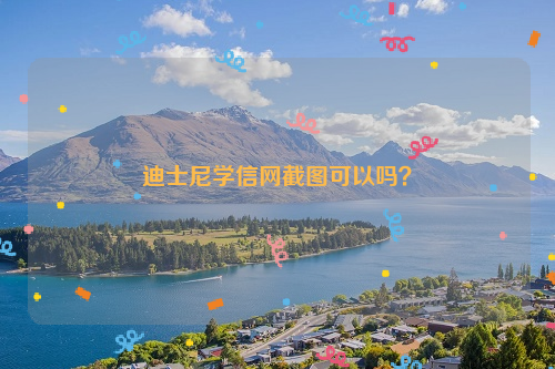 迪士尼学信网截图可以吗？