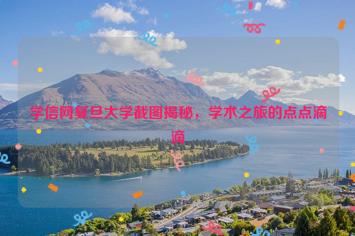 学信网复旦大学截图揭秘，学术之旅的点点滴滴