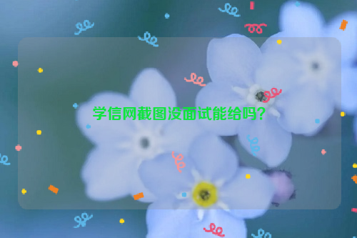 学信网截图没面试能给吗？