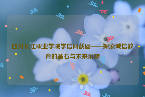 四川长江职业学院学信网截图——探索诚信教育的基石与未来展望