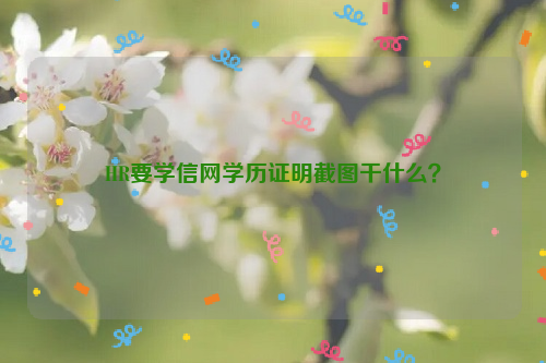 HR要学信网学历证明截图干什么？