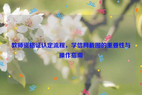 教师资格证认定流程，学信网截图的重要性与操作指南