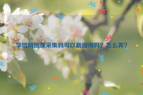 学信网图像采集码可以截图用吗？怎么弄？