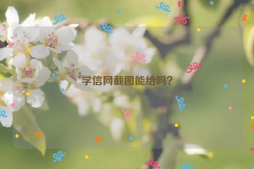 学信网截图能给吗？