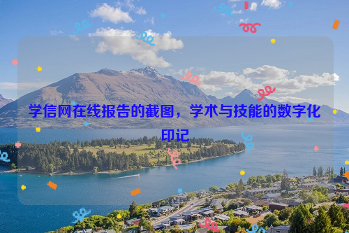 学信网在线报告的截图，学术与技能的数字化印记