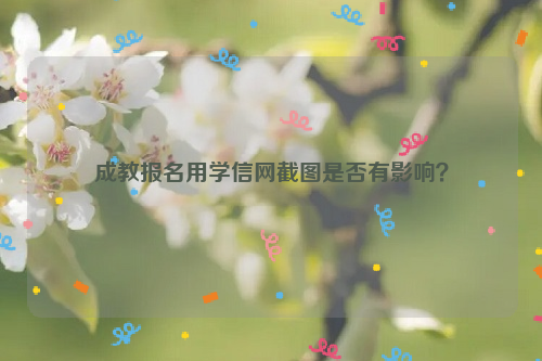 成教报名用学信网截图是否有影响？